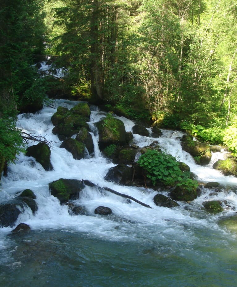 In der Nähe des Wanderhotels stürzt ein kleiner, felsiger Wasserfall durch einen üppigen, grünen Wald, wobei das Sonnenlicht durch die Bäume fällt und das Wasser über moosbewachsene Steine fließt.