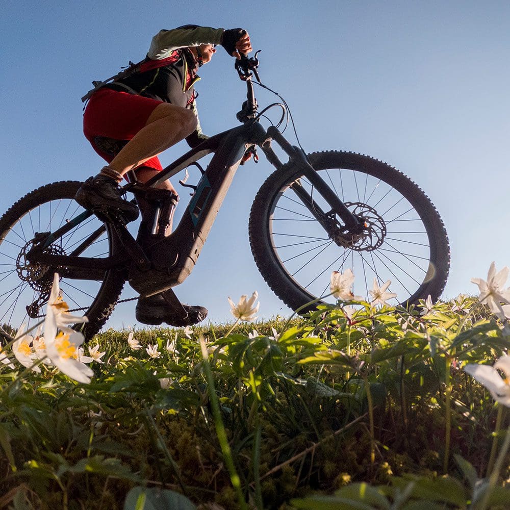 Bikehotel in Österreich, Bike-Verleih