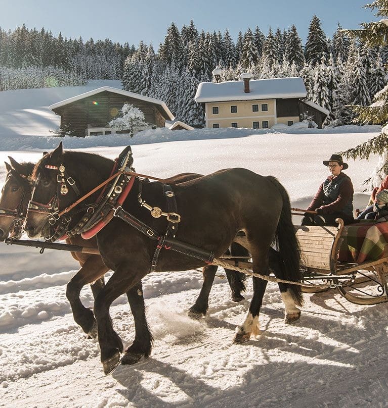 Pferdeschlittenfahrten im Salzburger Land