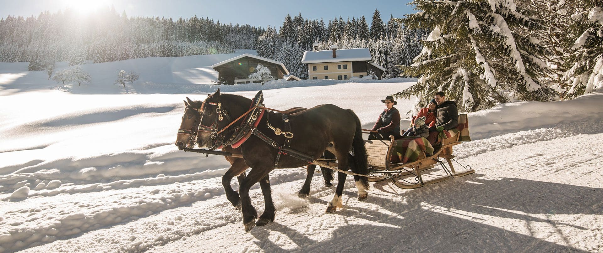 Pferdeschlittenfahrten im Salzburger Land