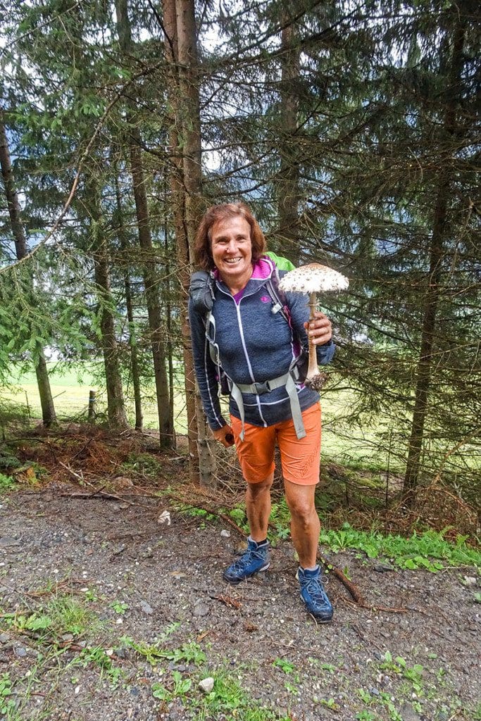 Wandern in Salzburg, Bramberg/Wildkogel
