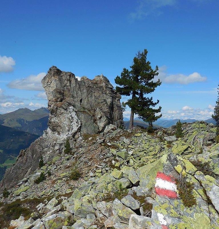 Wanderung Elferkogel 1