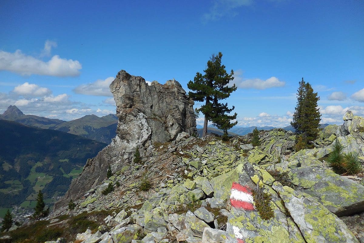 Wanderung Elferkogel 1 Wanderung Elferkogel 1